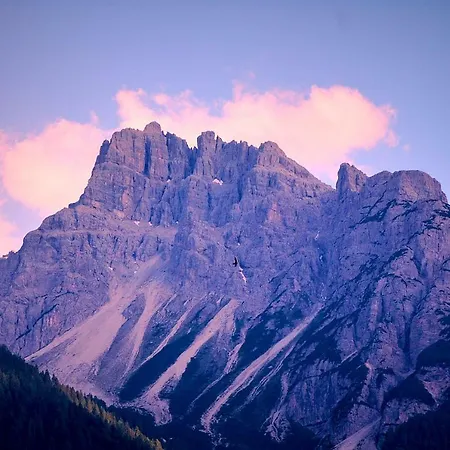 招待所 Casa Cadore 3*