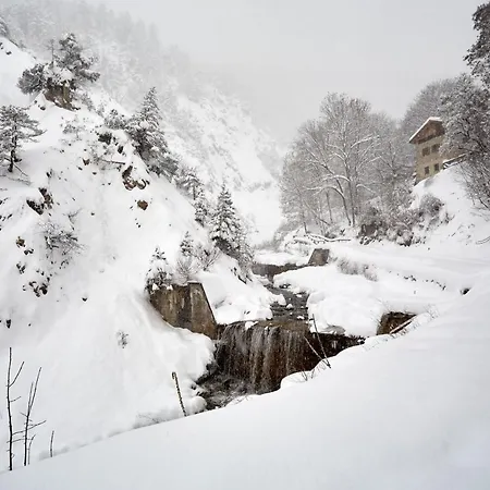 Casa Cadore Lozzo Cadore